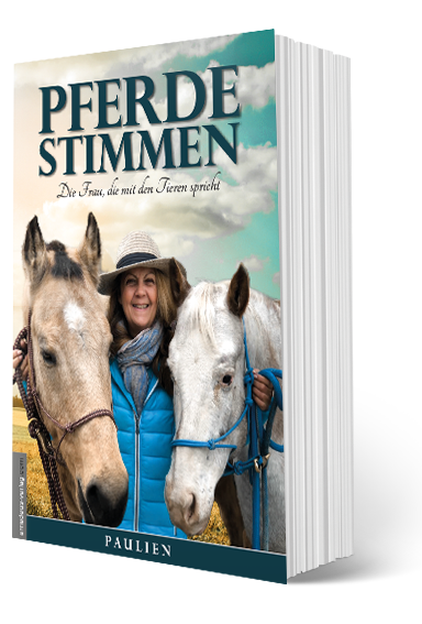 Taschenbuch.png